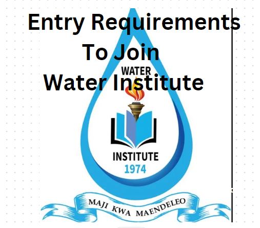 Sifa za Kujiunga na Chuo Cha Maji | Requirements to join Water Institute (WI)