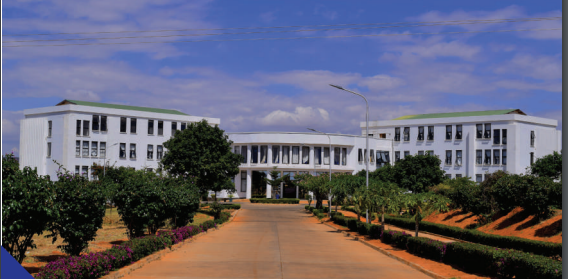 UDOM-College of Education