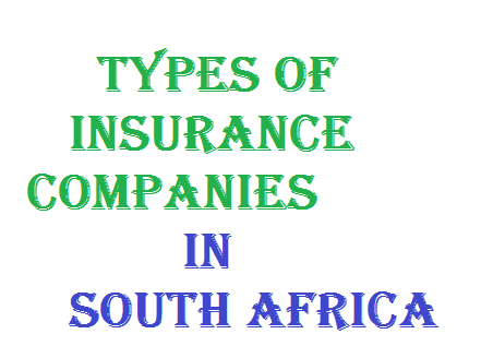 Types of Insurance Companies in South Africa