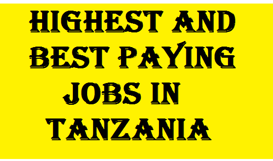 Best Paying Jobs in Tanzania
