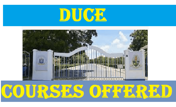 DUCE Courses Offered