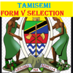 TAMISEMI Form Five Selection
