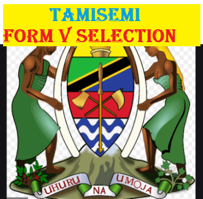 TAMISEMI Form Five Selection 