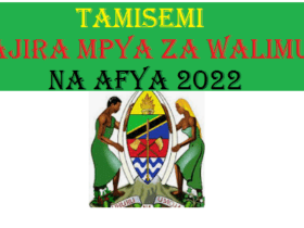 Majina Walioajiriwa TAMISEMI 2022