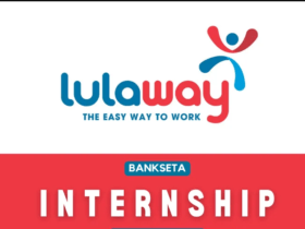 BankSETA Lulaway Internship Application