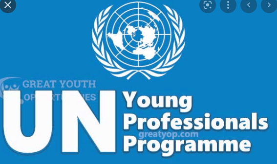 UN YPP Young Professionals Programme 2022/2023