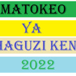 Matokeo ya Uchaguzi Kenya