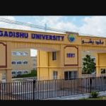 Best Universities in Somalia 2022-2023