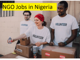 NGO Jobs in Nigeria