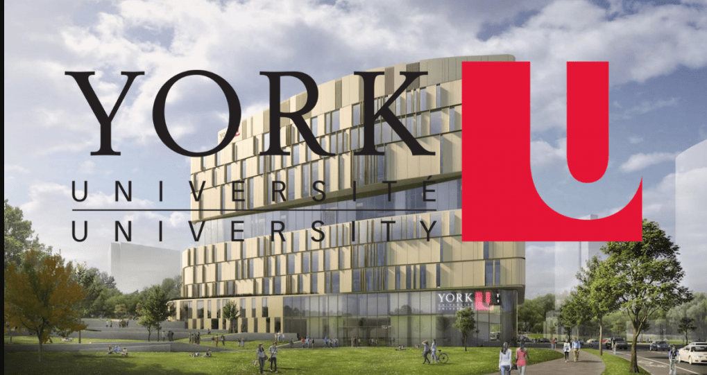 Entry Requirements to Join York University