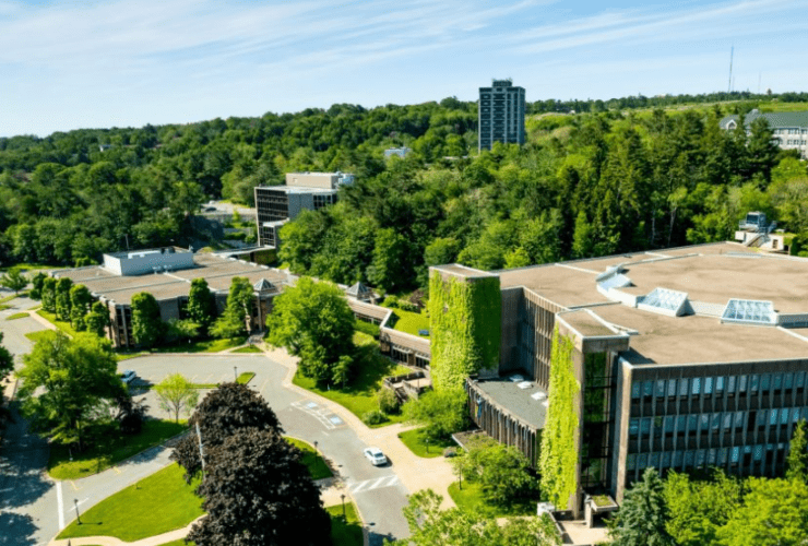 Top 11 Best Universities in Saint Martin