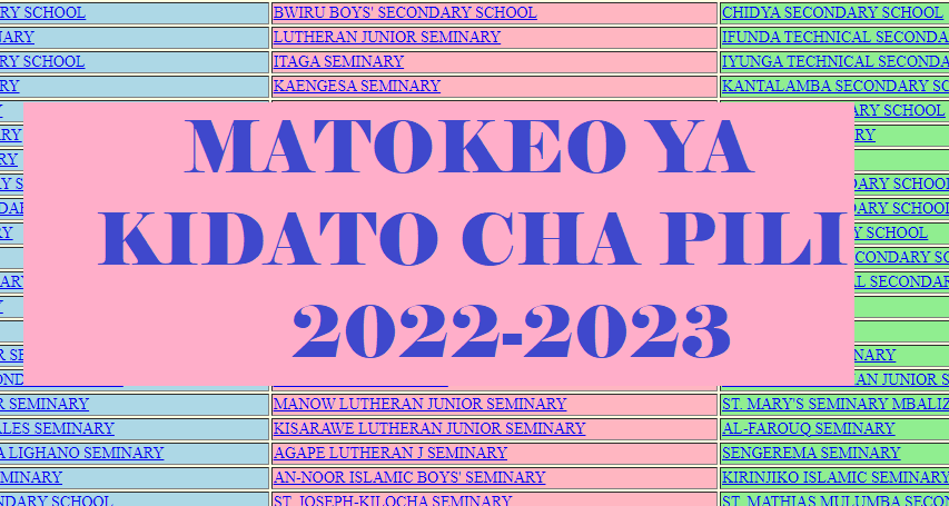 NECTA Form Two Results 2022/23 Dodoma