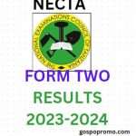 How to Check NECTA Form Two Results