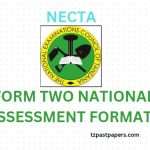 How to Check NECTA Form Two Results via SMS