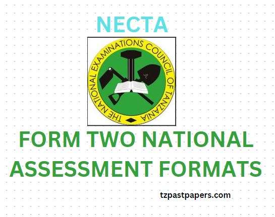 How to Check NECTA Form Two Results via SMS