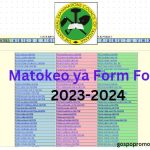 NECTA Matokeo ya Form Four Mkoa wa Manyara 2023-2024: CSEE Results PDF