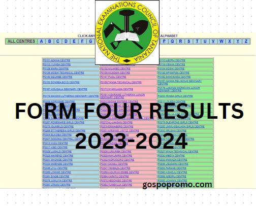 NECTA Form Four Results 2023-2024: Matokeo ya Kidato Cha Nne
