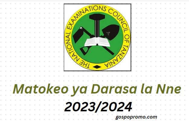 Matokeo ya Darasa la Nne 2023-2024 Mwanza