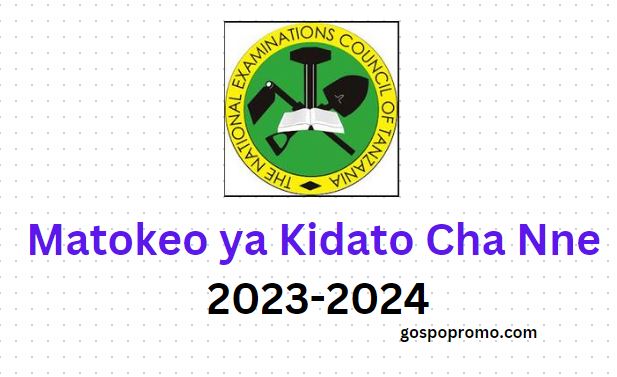 NECTA Matokeo ya Kidato Cha Nne: CSEE Results 2023-2024