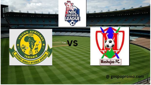 Matokeo Yanga SC vs Mashujaa FC NBC Premier League 2023-2024